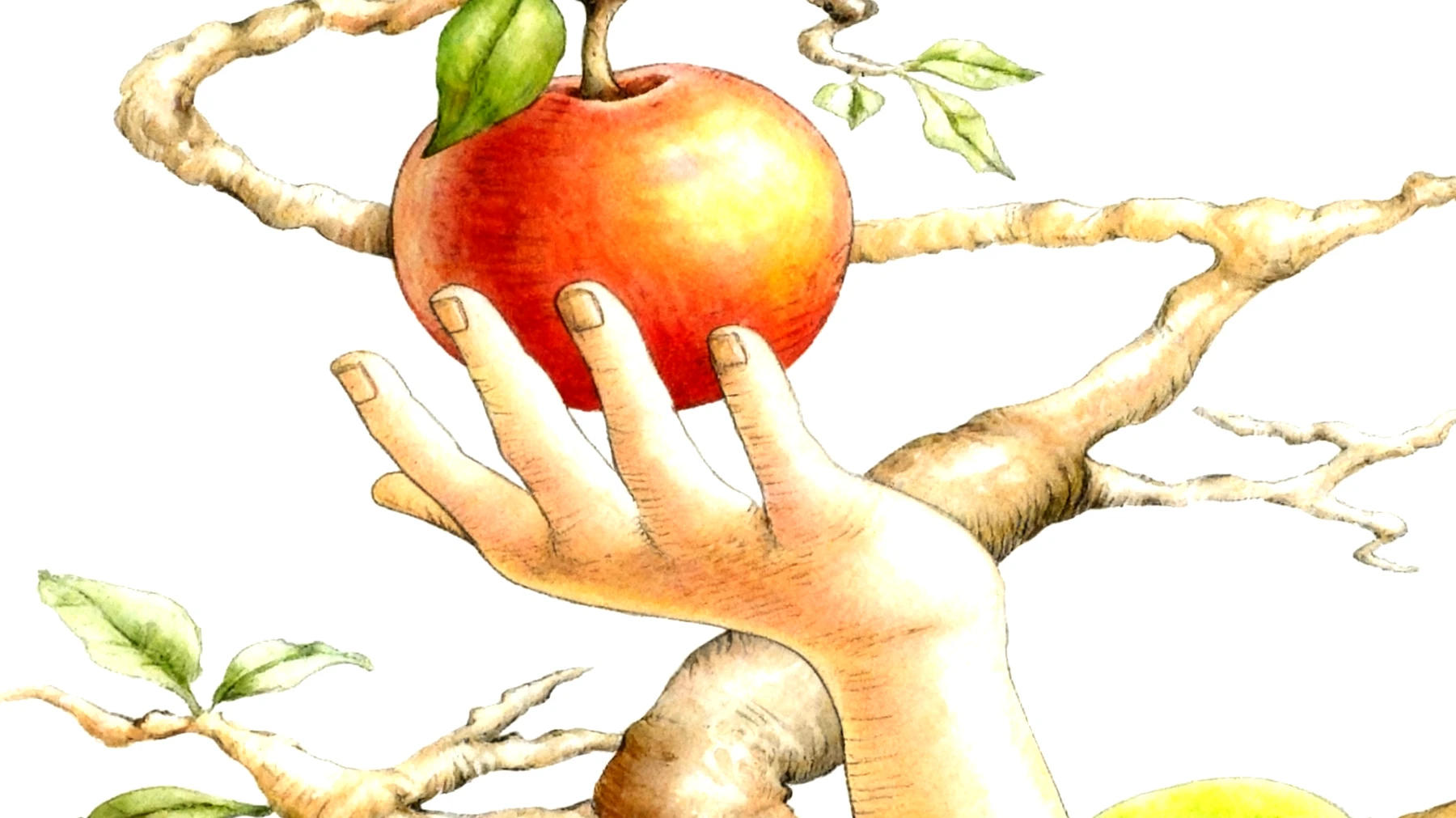 Forbidden Fruit2025-11-24T07:01:34.195Z"